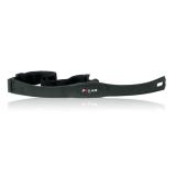 POLAR Передатчик T31