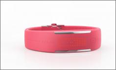 POLAR LOOP 2 PNK (розовый)